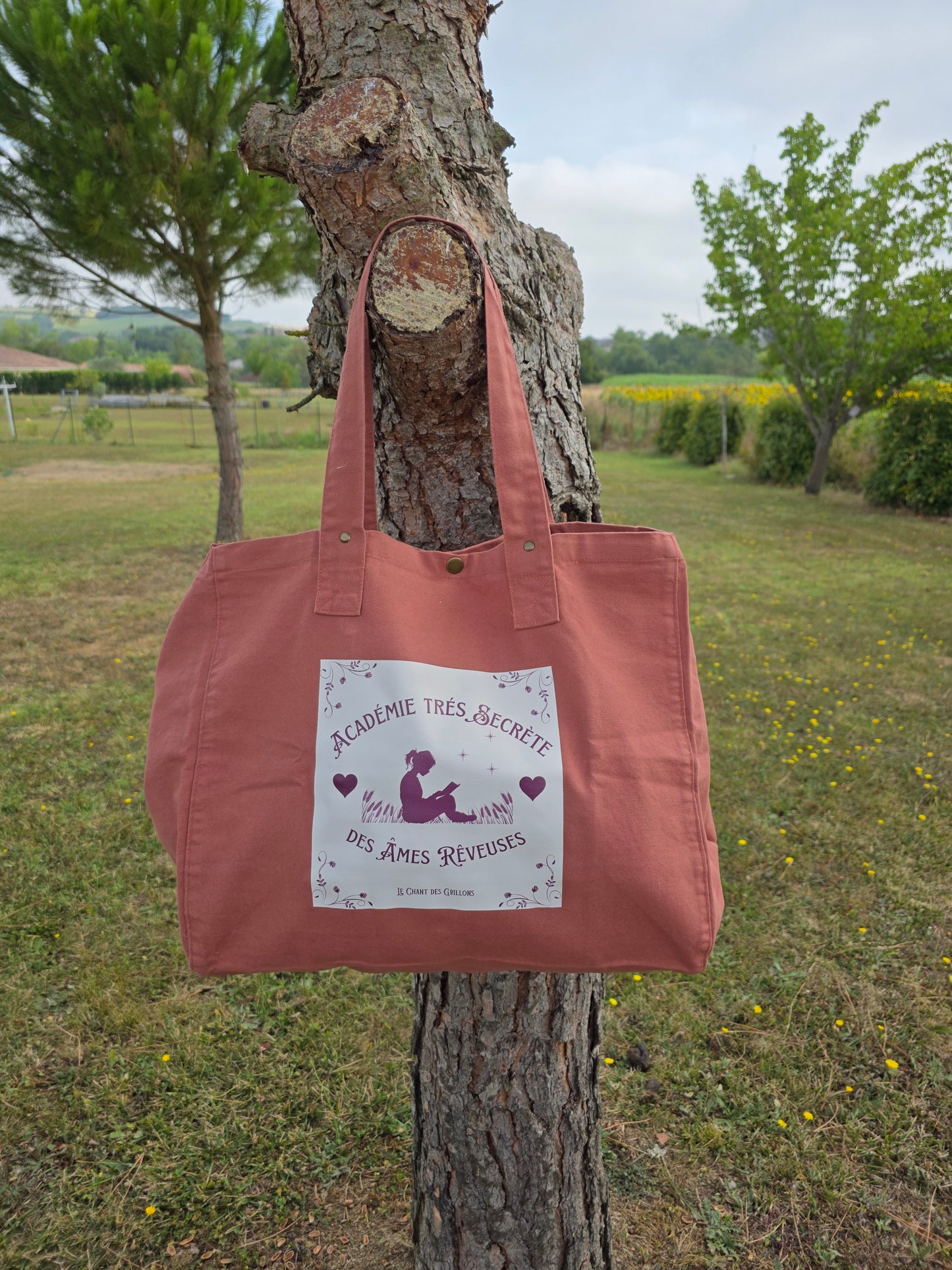 Sac Rêveuse vieux rose
