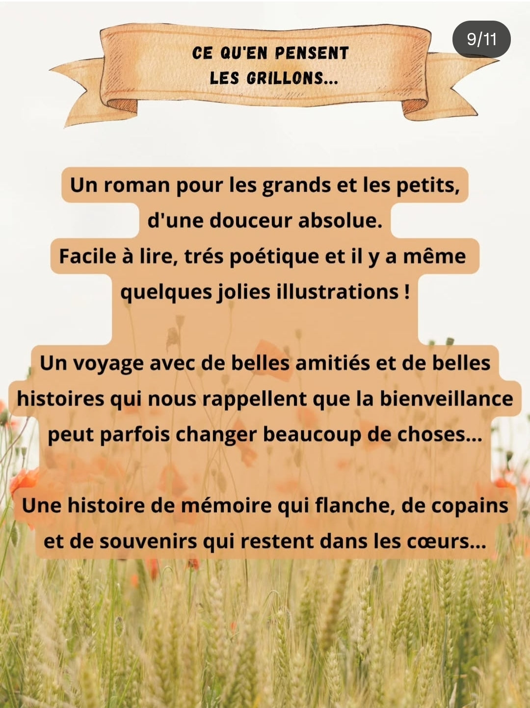PRÉ-COMMANDE BOX BIEN MERI-THÉ (JUIN)
