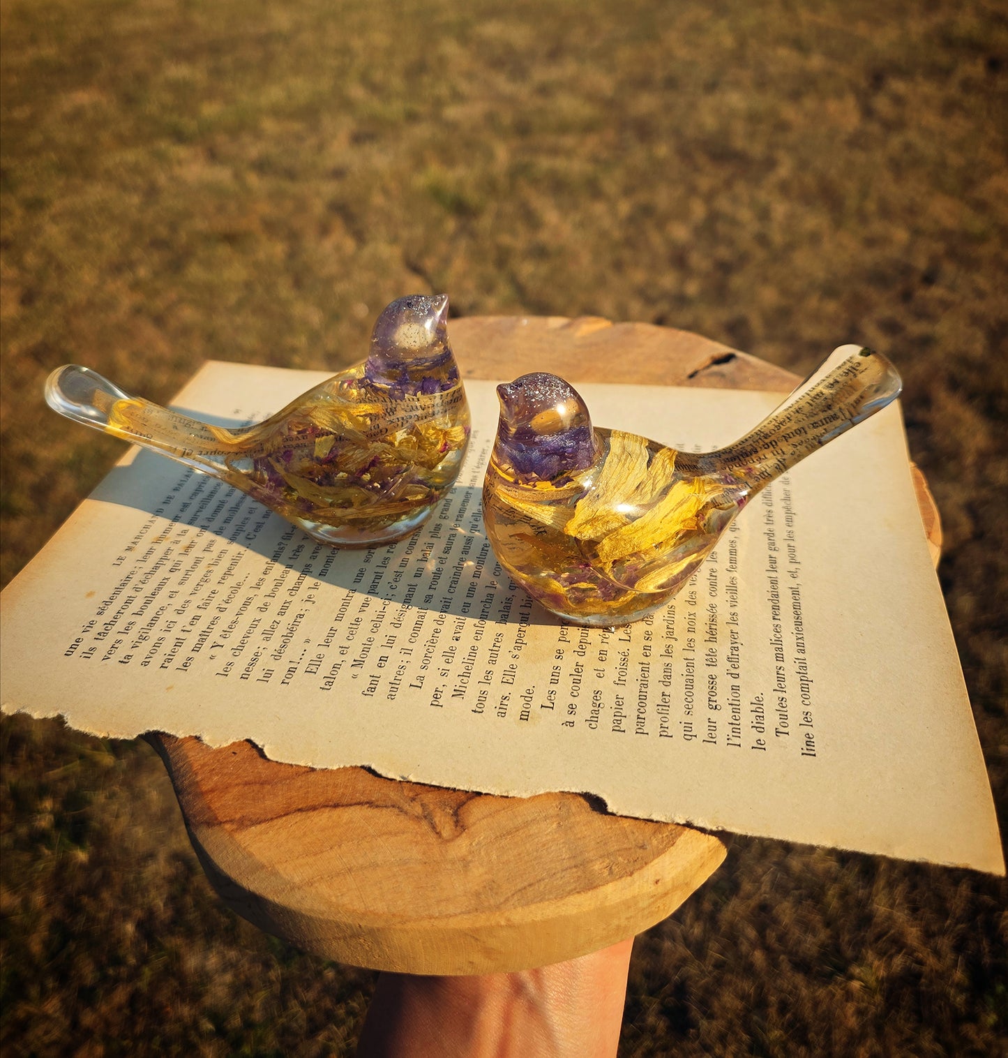 Presse-papier Oiseau-Livre (août)