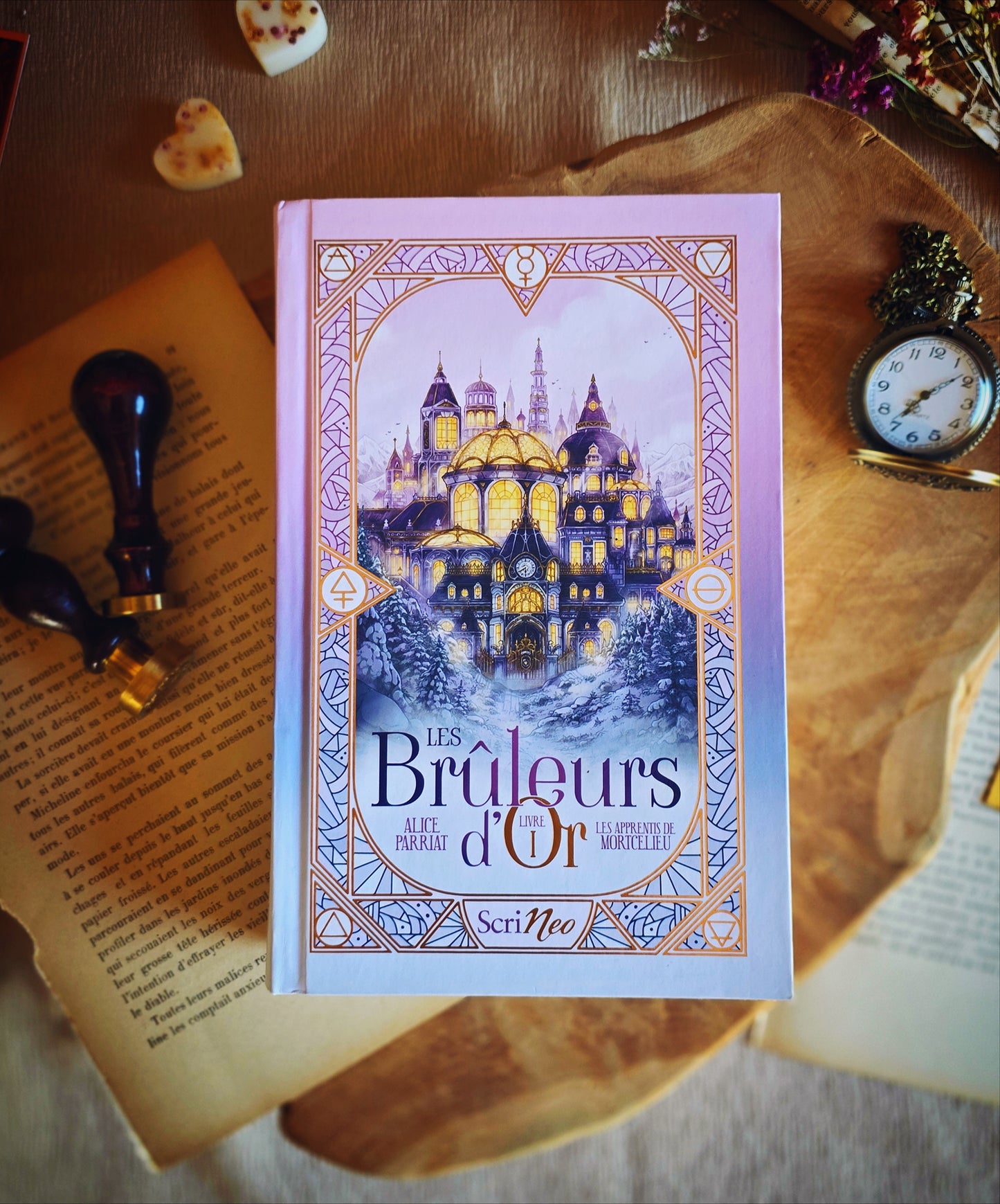 Livre seule "Les Brûleurs d'or Tome 1" de Alice Parriat (PRÉ-COMMANDE)