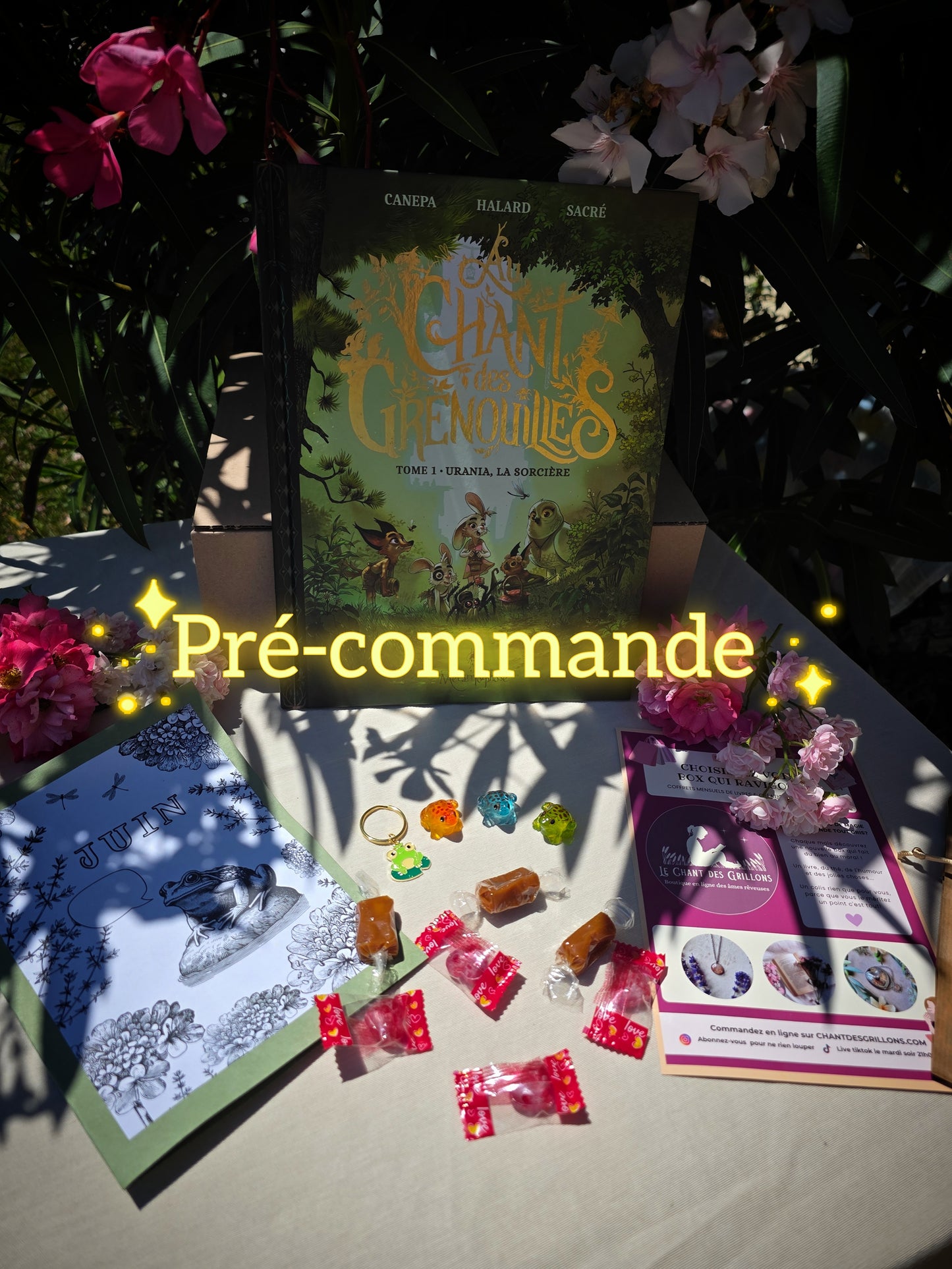 PRÉ-COMMANDE Box p'tit grillon 8/12ans (JUIN)