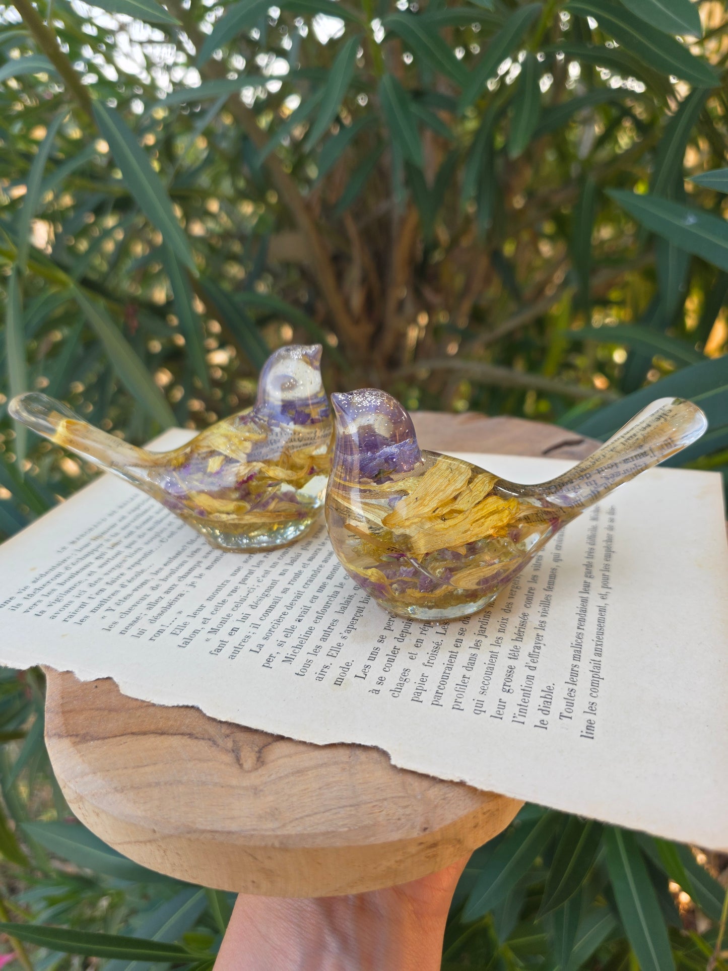 Presse-papier Oiseau-Livre (août)