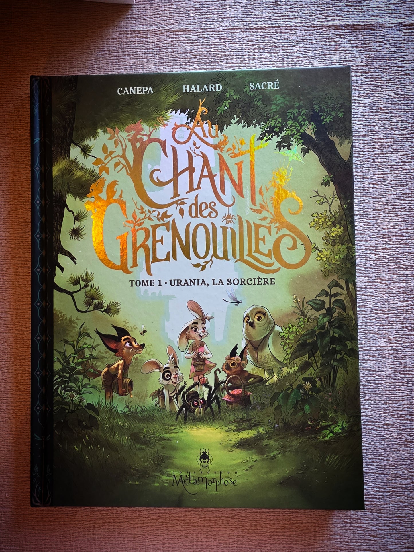 PRÉ-COMMANDE Box p'tit grillon 8/12ans (JUIN)