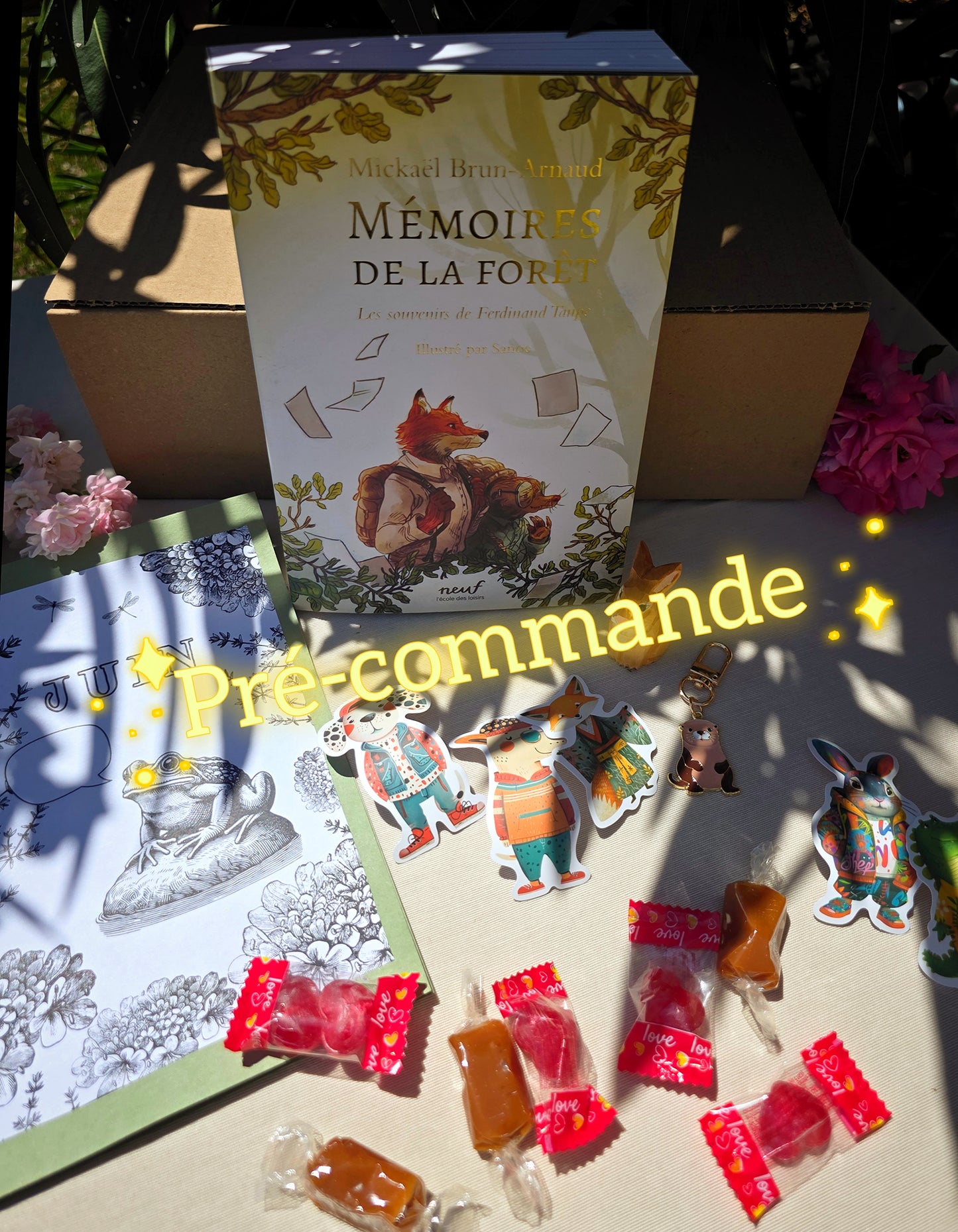 PRÉ-COMMANDE BOX P'TIT GRILLON (grand lecteur)(JUIN)