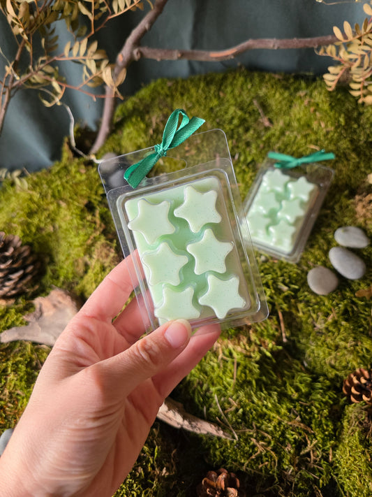 Tablette 6 fondants "L'héritière des Fées"