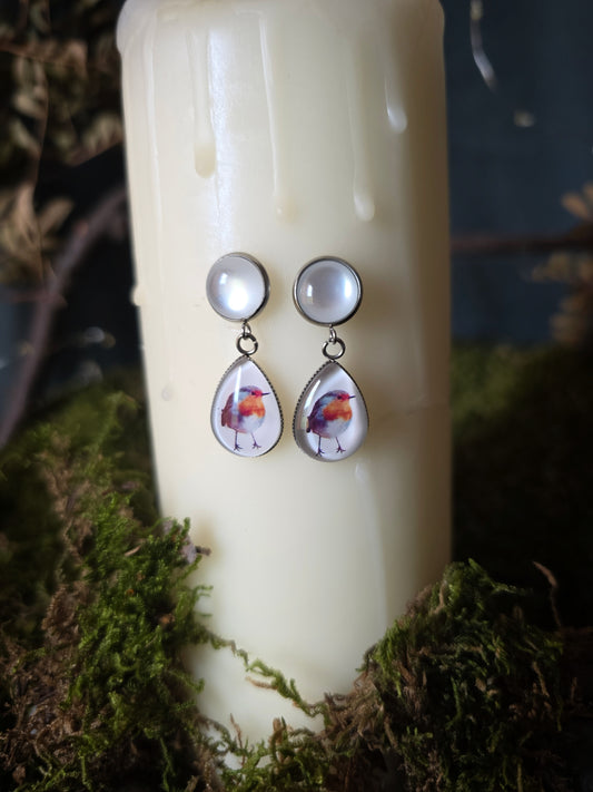 Boucles puces Rouge-gorge