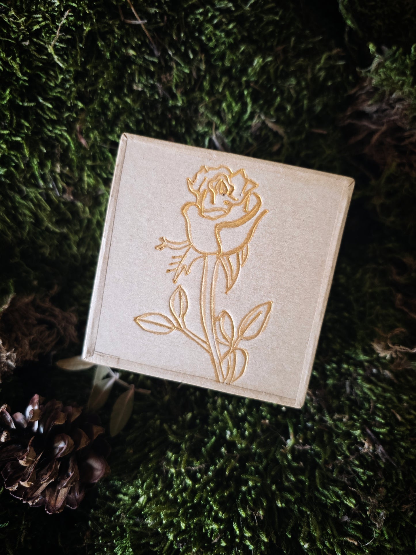 Box Grillon Deluxe Fées & légendes celtes (précommande)