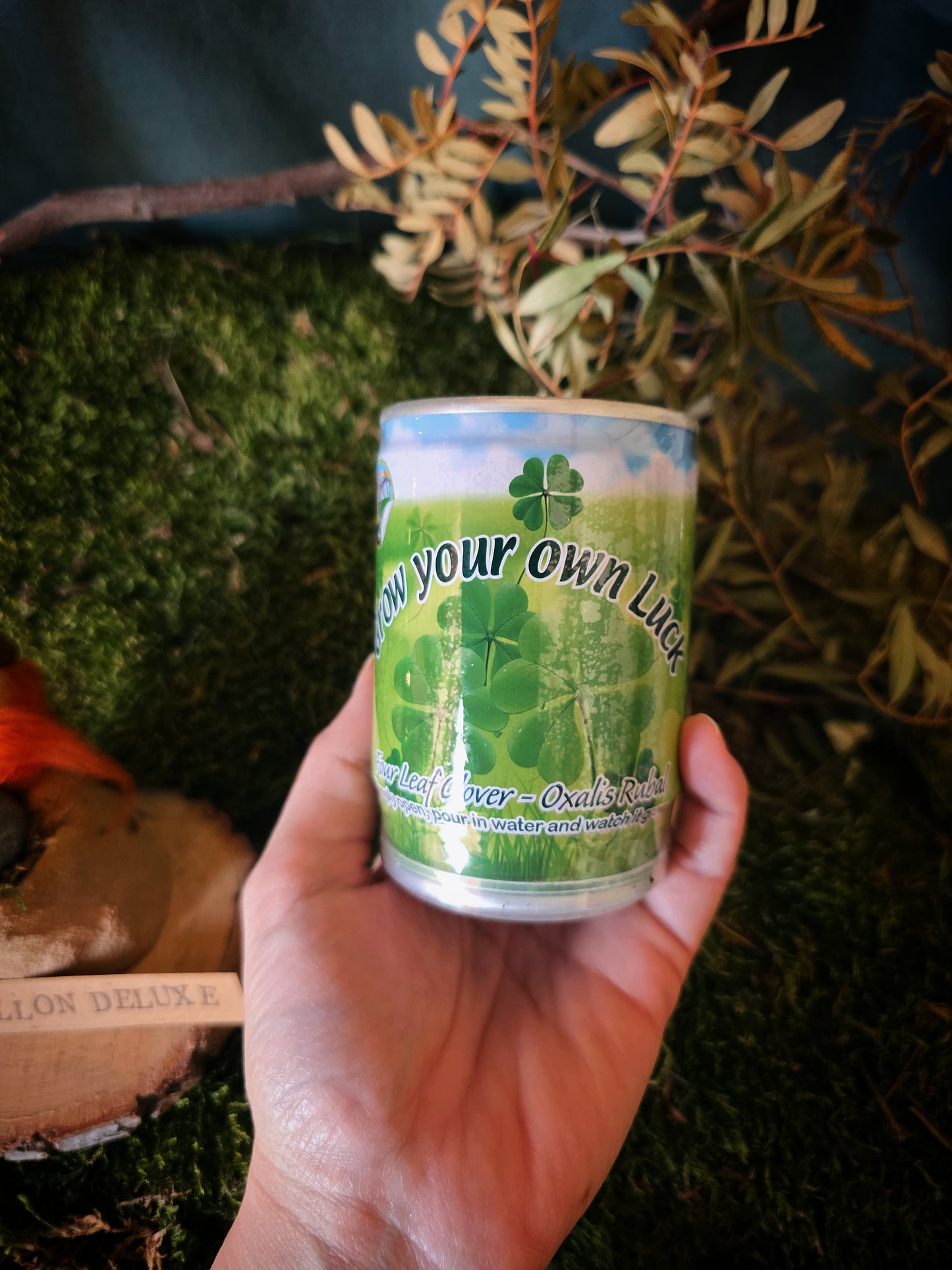 Box Grillon Deluxe Fées & légendes celtes (précommande)