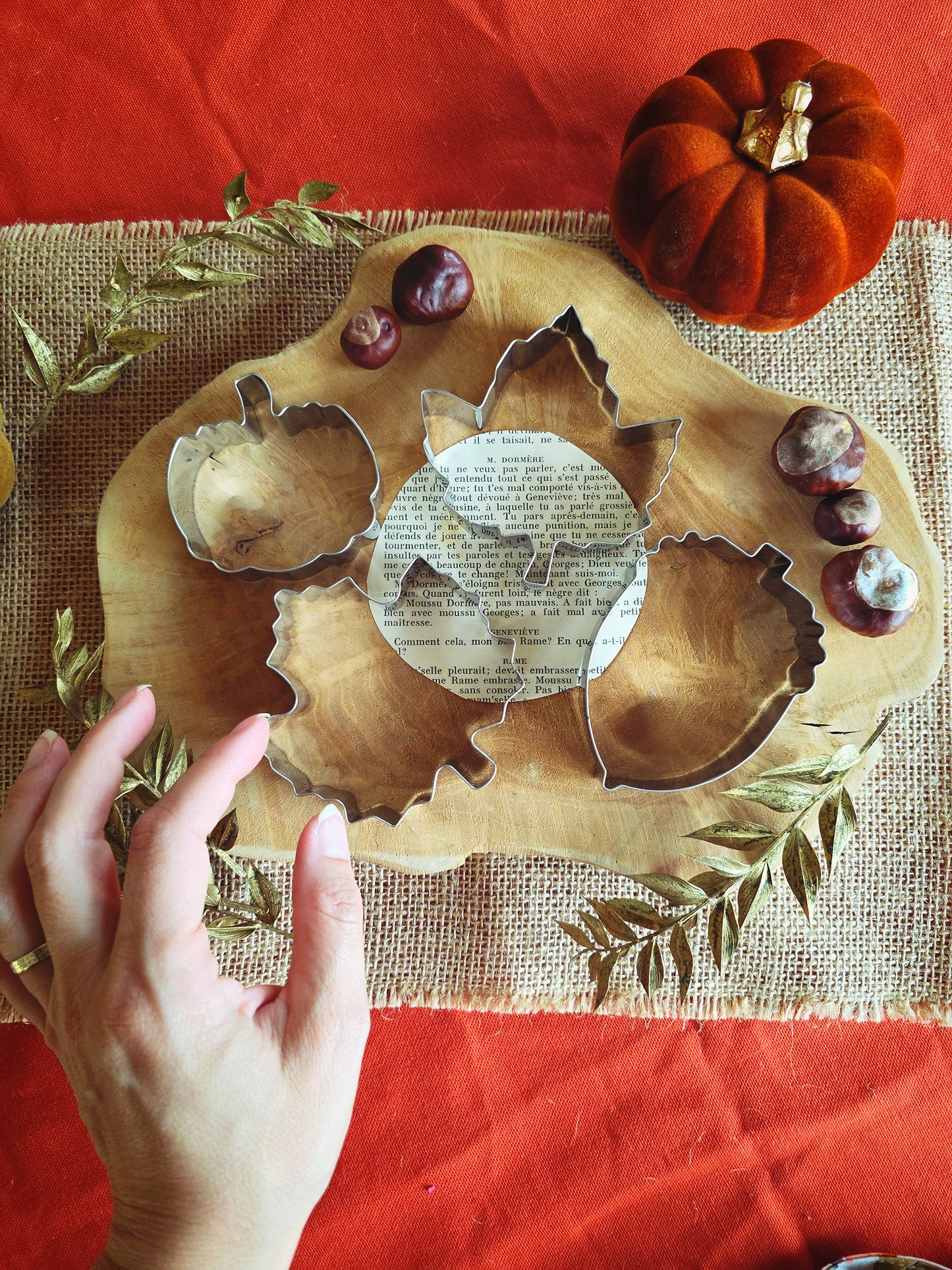 Box p'tit grillon (petit lecteur) SALON DE THÉ ENCHANTÉ (Pré-commande)