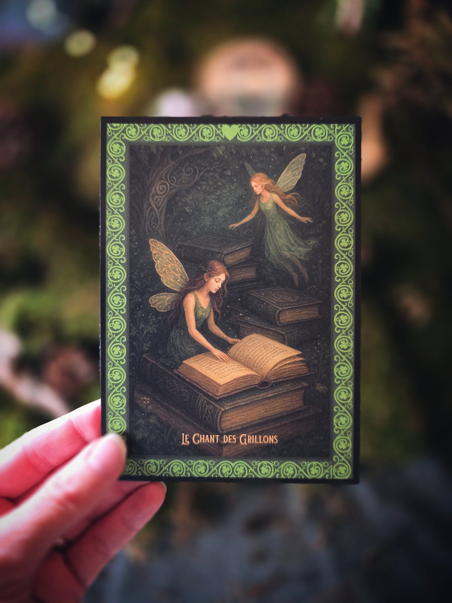 Box Grillon Deluxe Fées & légendes celtes (précommande)