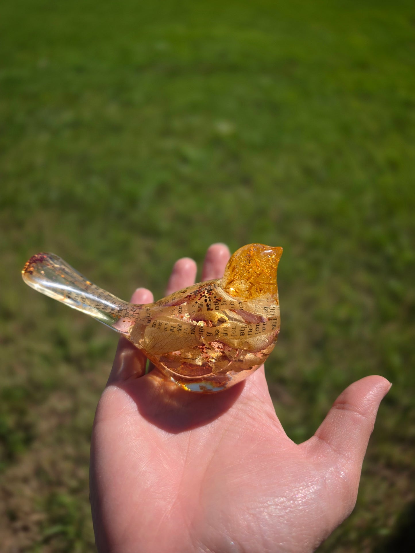 Oiseau-livre Automne