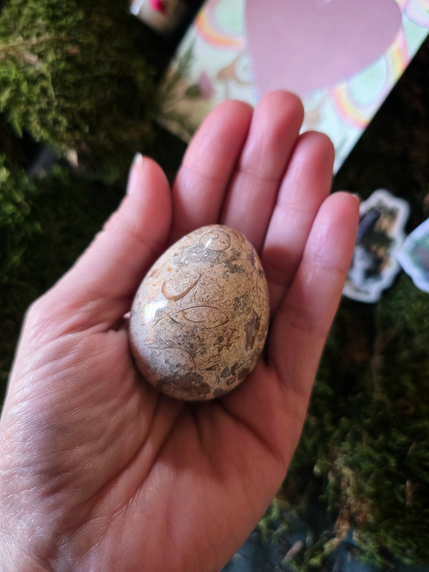 Box Grillon Deluxe Fées & légendes celtes (précommande)