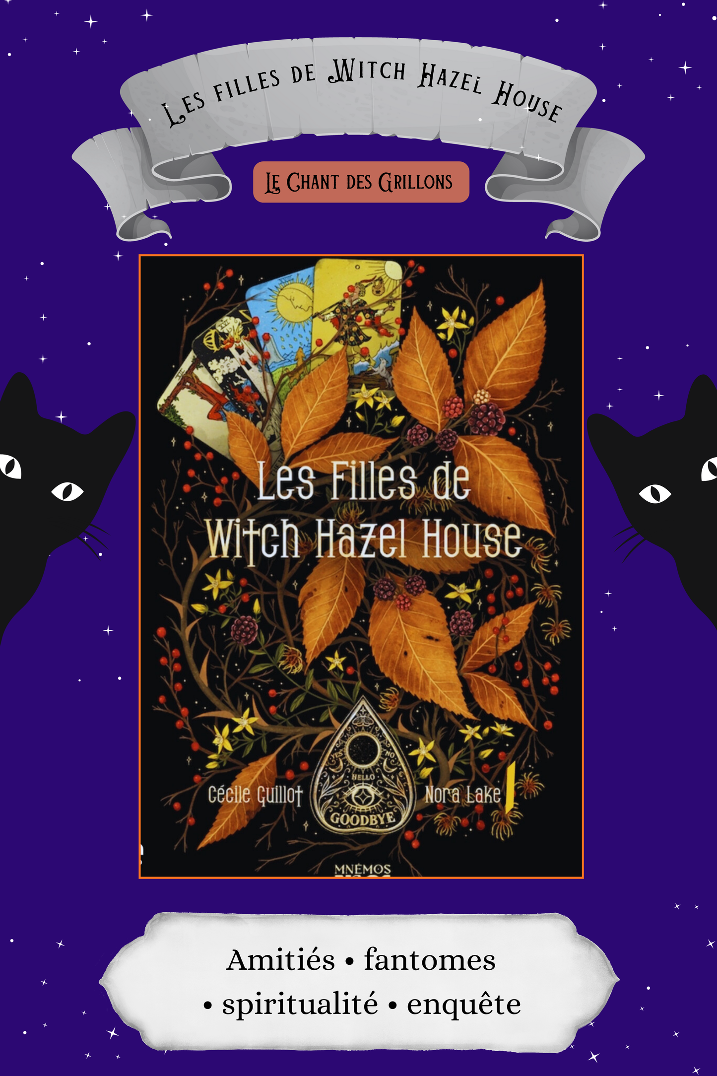 Box Grillon Deluxe (adulte)sorcière (pré-commande)