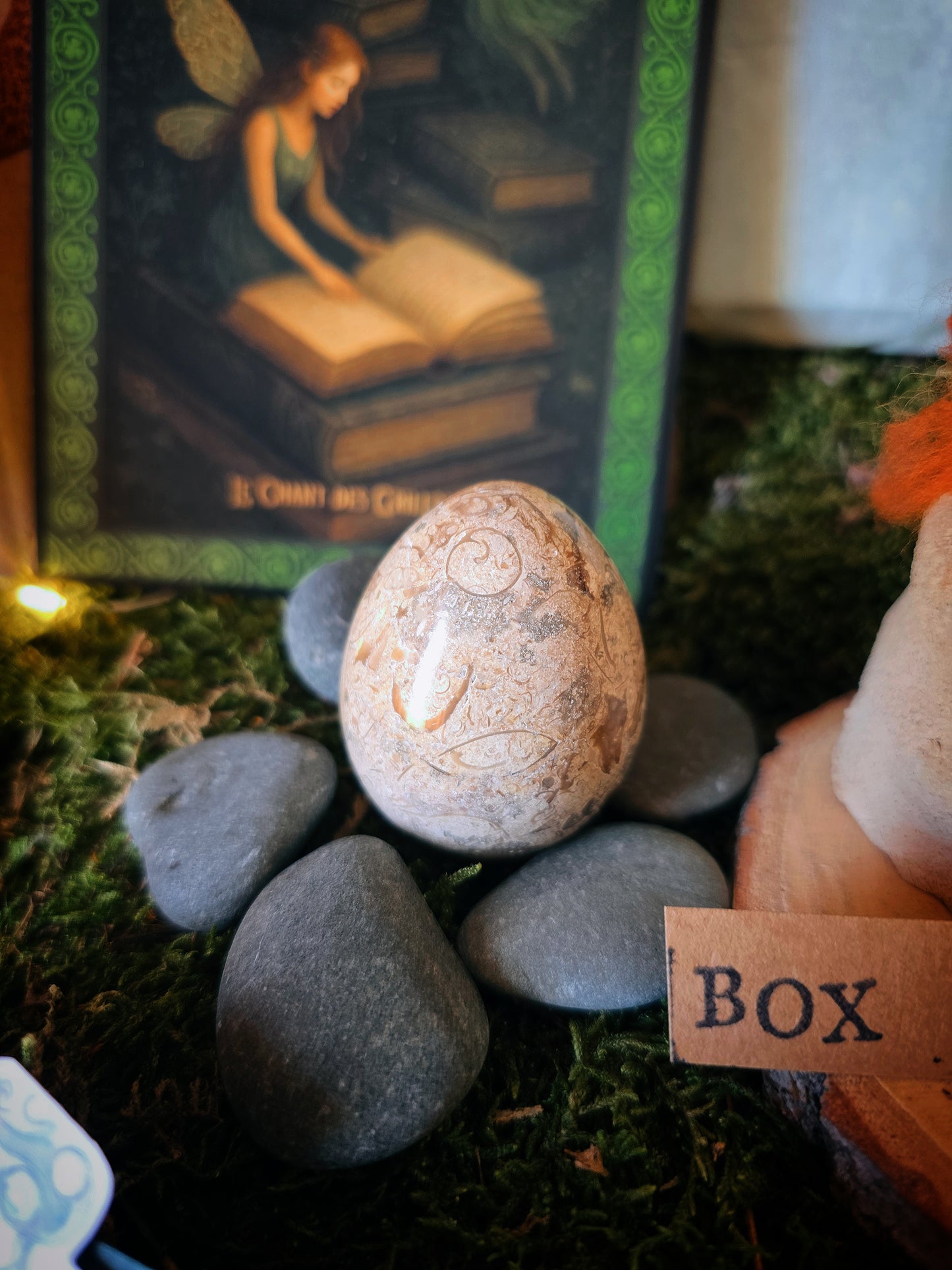 Box Grillon Deluxe Fées & légendes celtes (précommande)