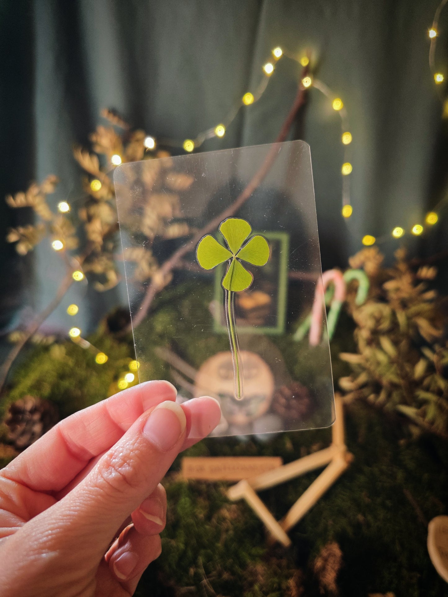 Box Grillon Deluxe Fées & légendes celtes (précommande)