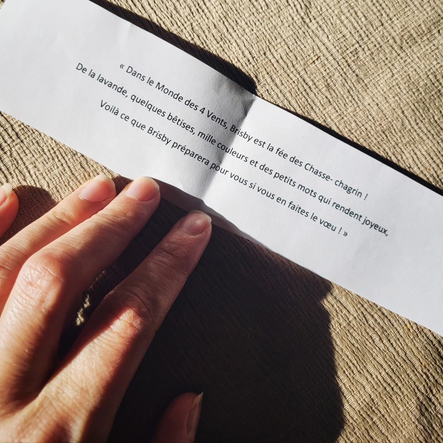 Boule de noël "Brisby et les Chasse-chagrin"