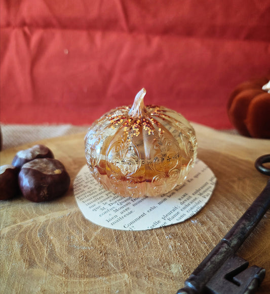 Citrouille de bibliothèque #1