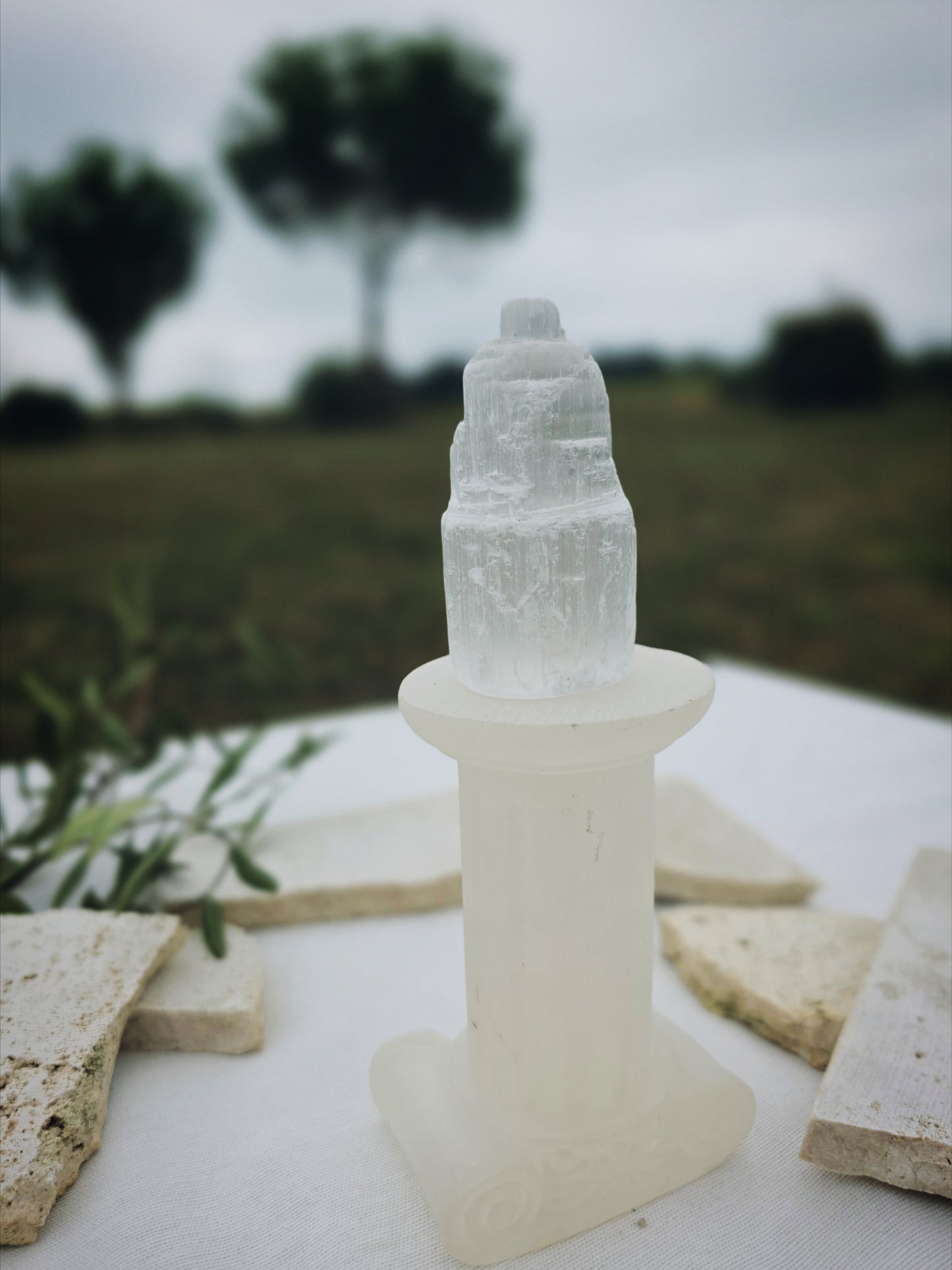 PRÉ-COMMANDE BOX P'TIT GRILLON (grand lecteur) juillet