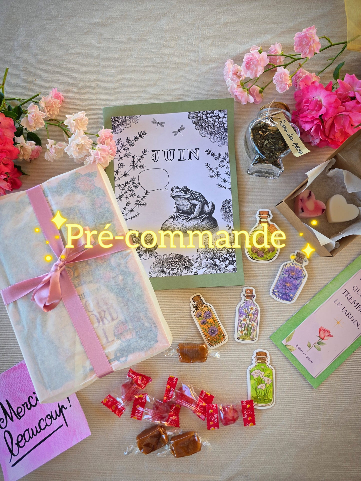 PRÉ-COMMANDE BOX BIEN MERI-THÉ (JUIN)