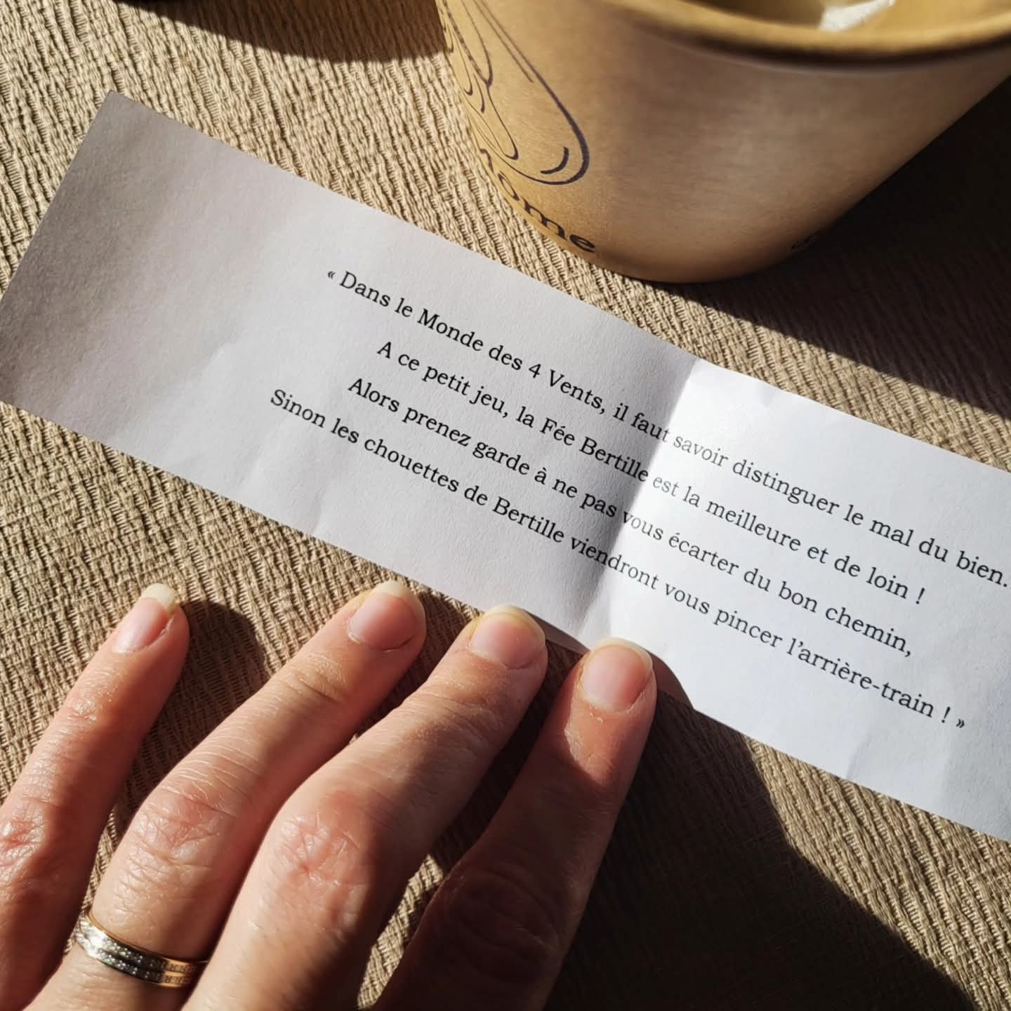 Boule de noël "Bertille et les Chouettes en tous genres"