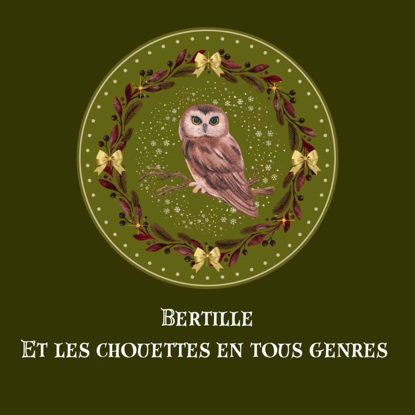 Boule de noël "Bertille et les Chouettes en tous genres"