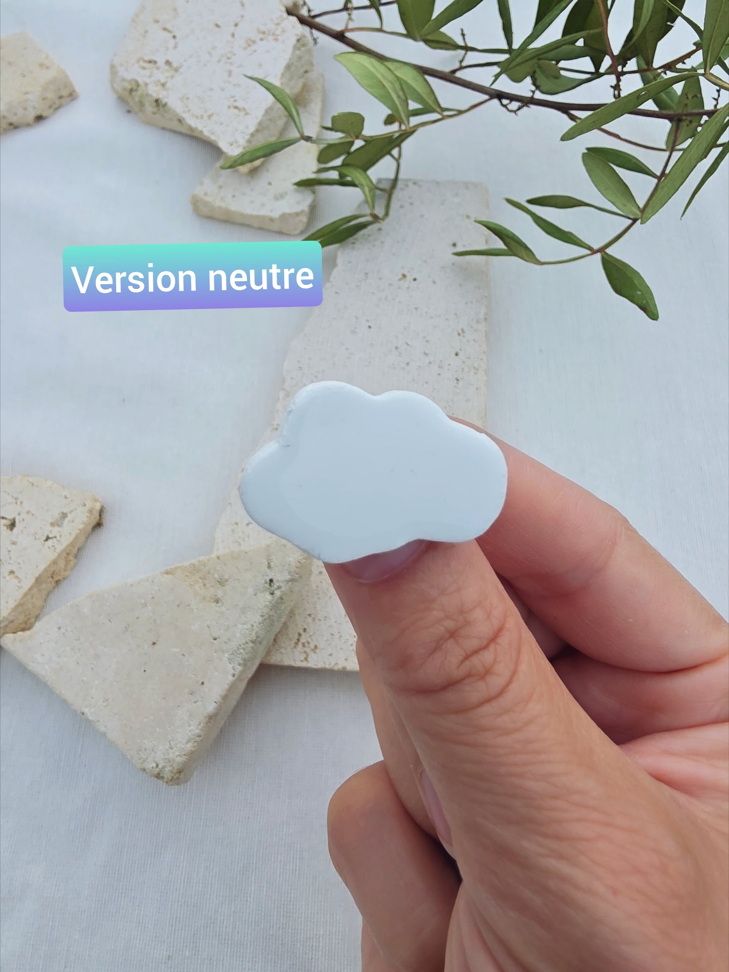 PRÉ-COMMANDE BOX P'TIT GRILLON (petit lecteur)Juillet