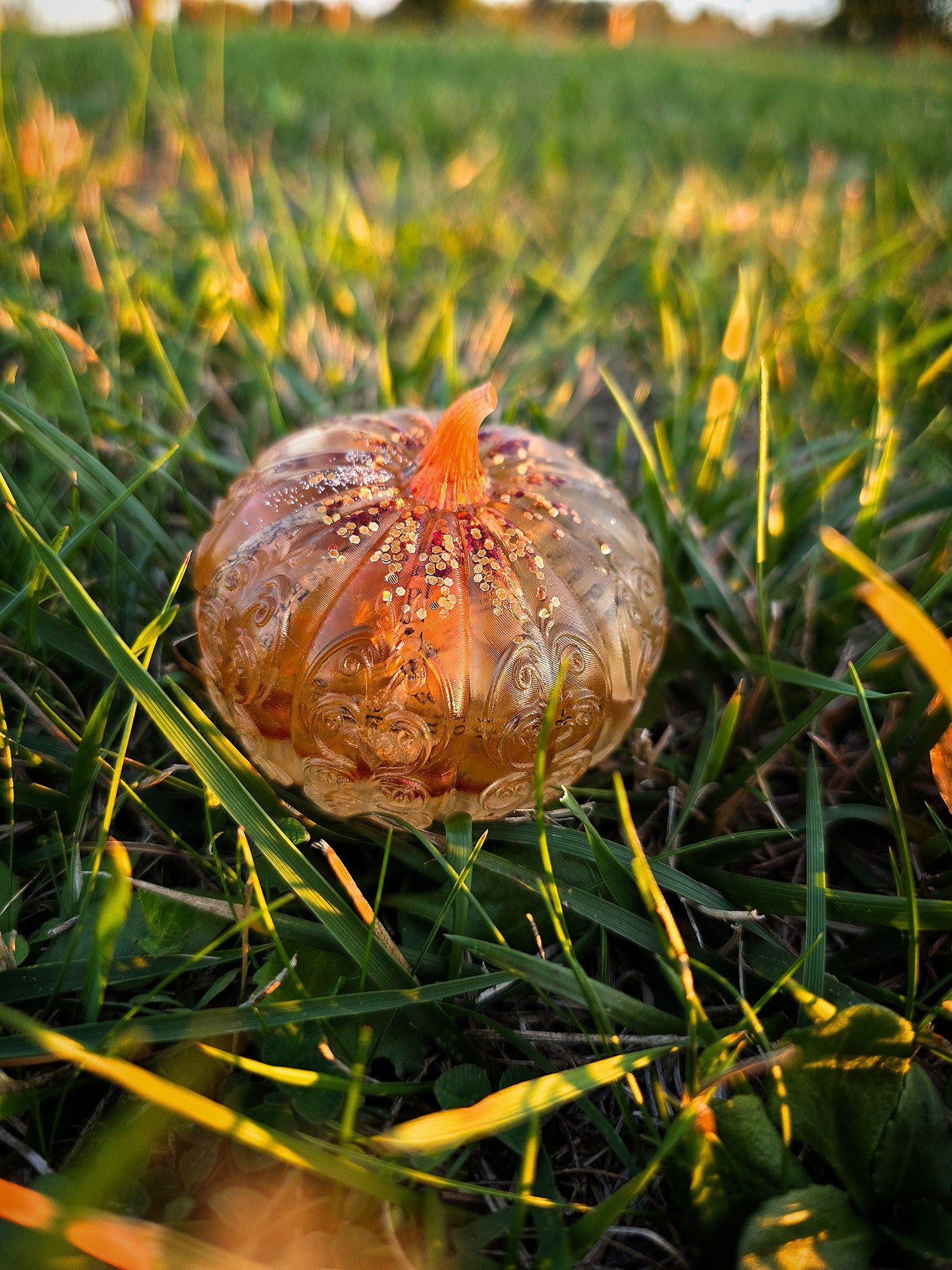 Citrouille de bibliothèque #1