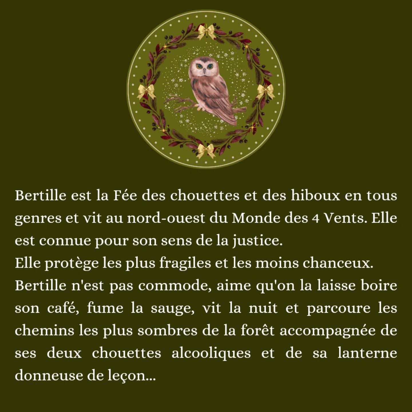 Boule de noël "Bertille et les Chouettes en tous genres"