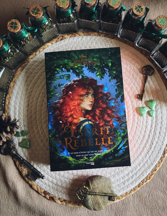 Livre seul "Esprit rebelle" (précommande)