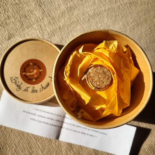 Boule de noël "Brisby et les Chasse-chagrin"