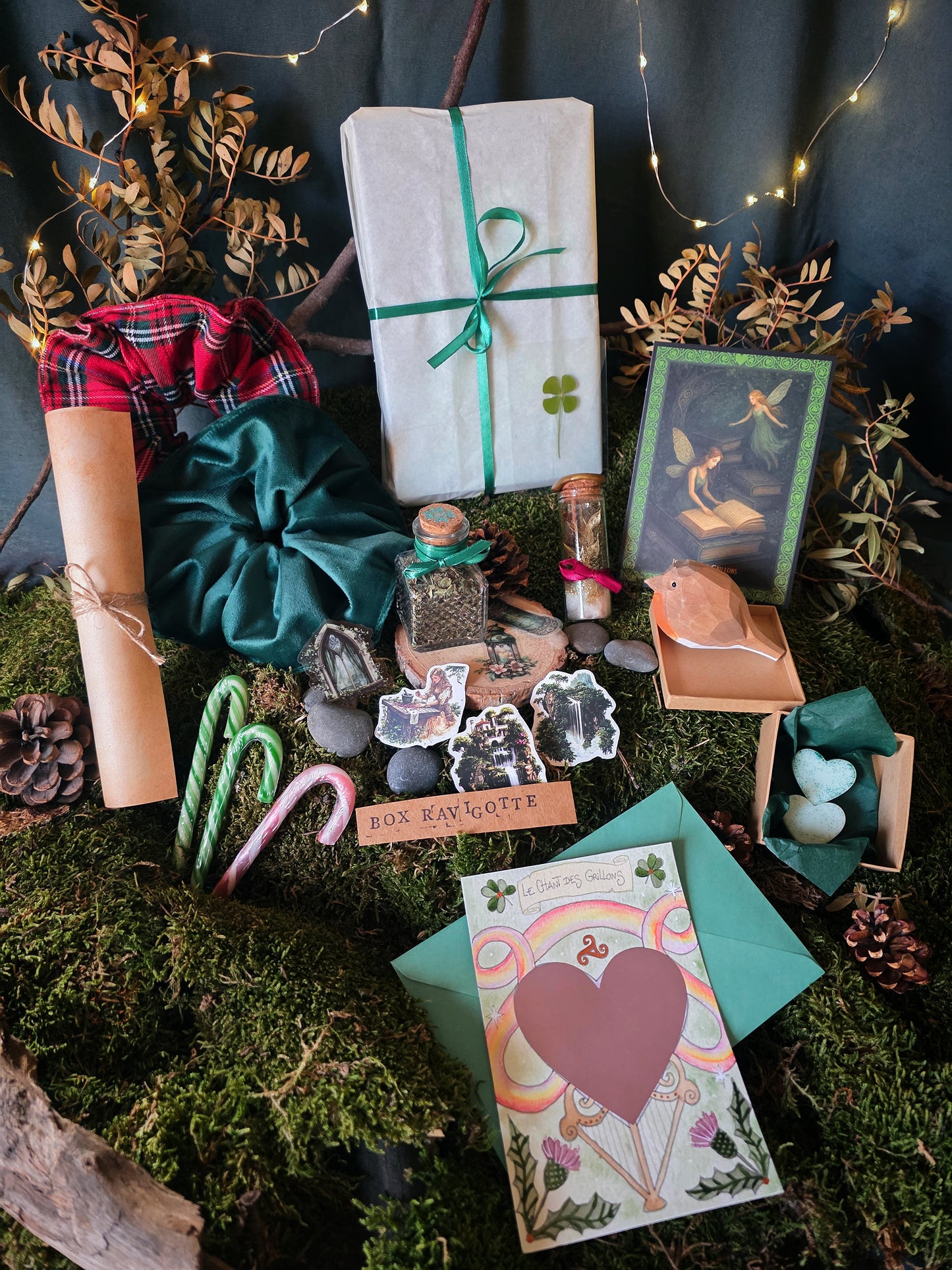 Box Ravigotte Fées & légendes celtes (précommande)