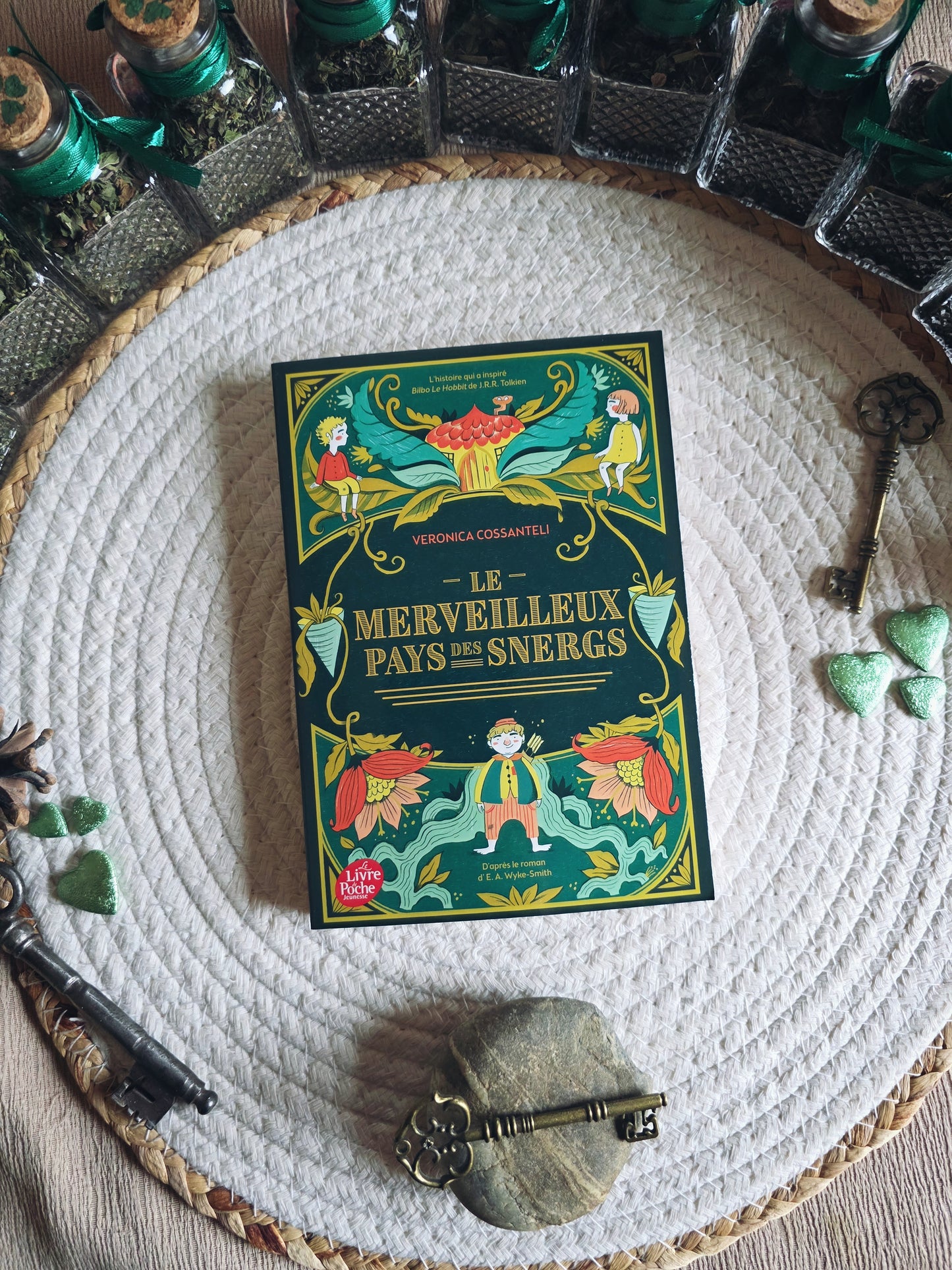 Livre seul "Le merveilleux pays des Snergs" (précommande)