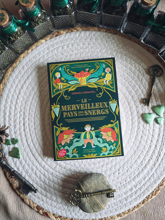 Livre seul "Le merveilleux pays des Snergs" (précommande)